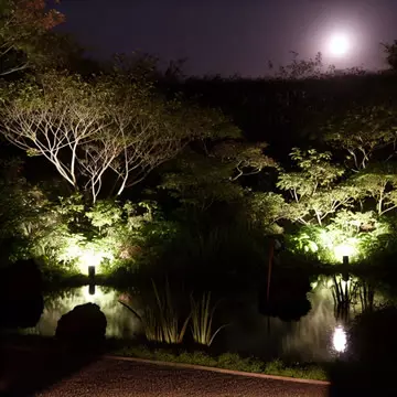 jardín de noche